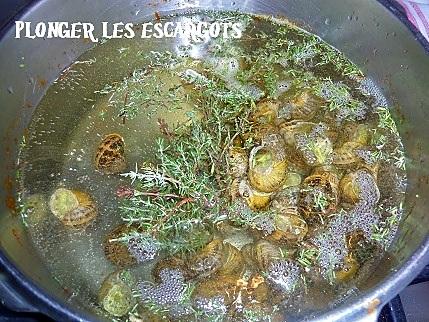 recette escargots à la catalane