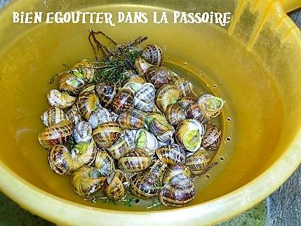 recette escargots à la catalane