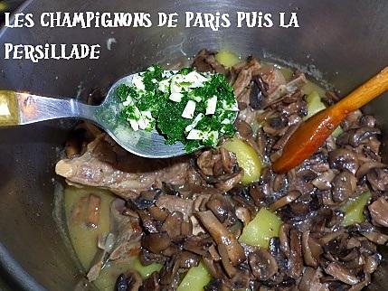 recette Blanquette d’agneau