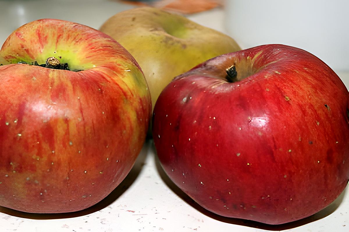 recette Du mal à vous endormir OCCASIONNELLEMENT : gardez vos épluchures de pommes et...