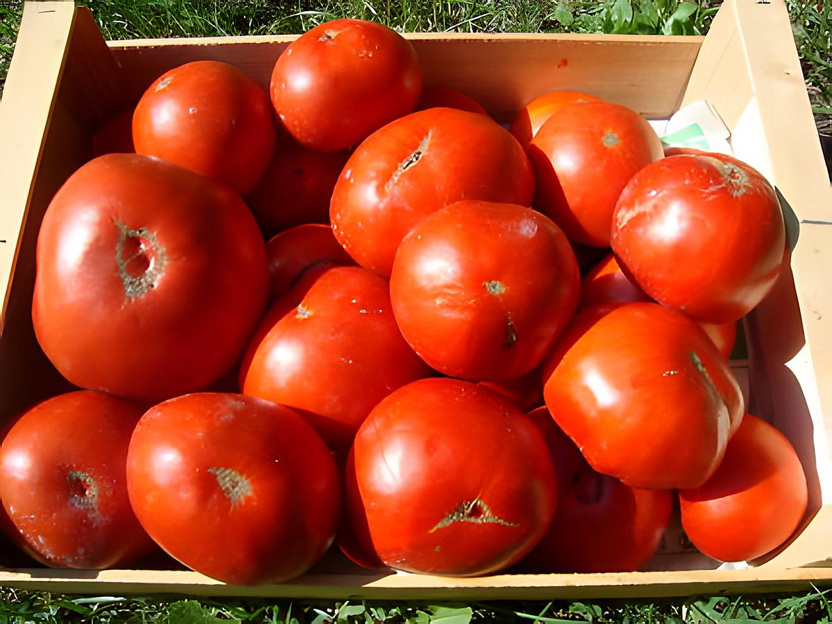 recette Le Gers ou les TOURINS ... Le tourin à la tomate fraiche (si possible)