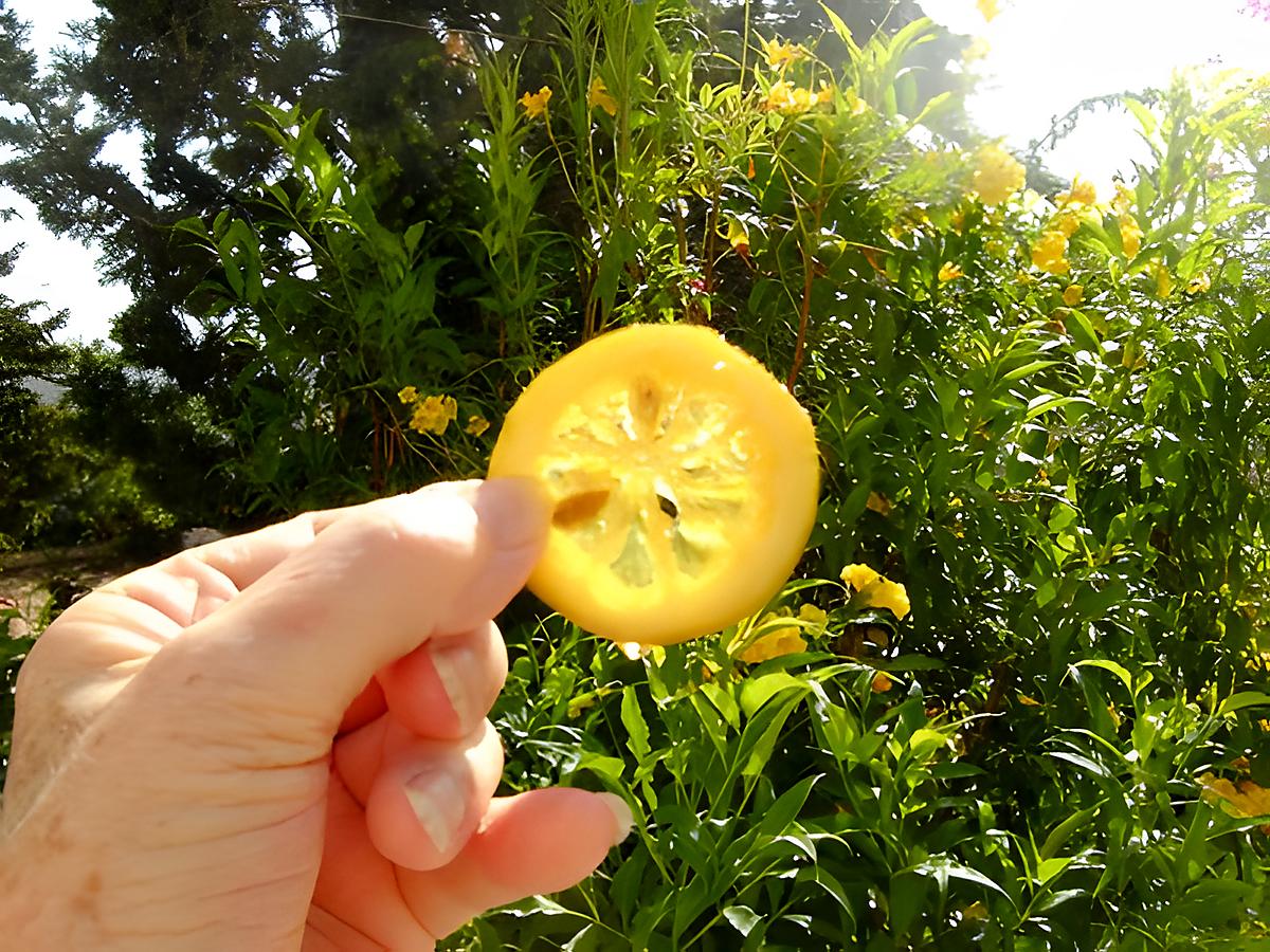 recette Tranches de citron confites au sucre