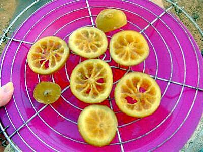 recette Tranches de citron confites au sucre