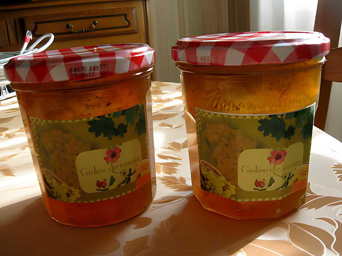Recette de Gelée de raisins (sans peaux ni pépins)