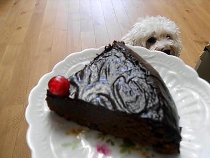 recette Gâteau au chocolat de Jeanmerode