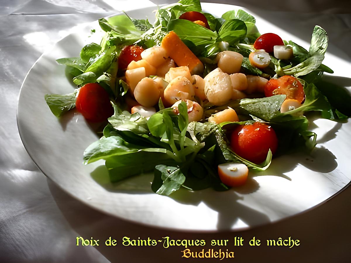 recette Noix de Saint-Jacques sur lit de mâche