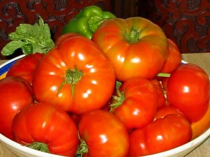 recette Velouté de tomates p.d.terre à la " Kapi"...