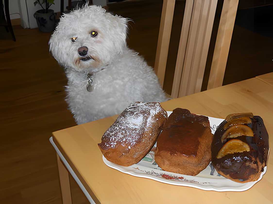 Recette de Pains d'épices pour la Saint Nicolas