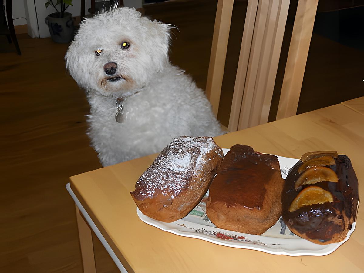 recette Pains d'épices pour la Saint Nicolas !