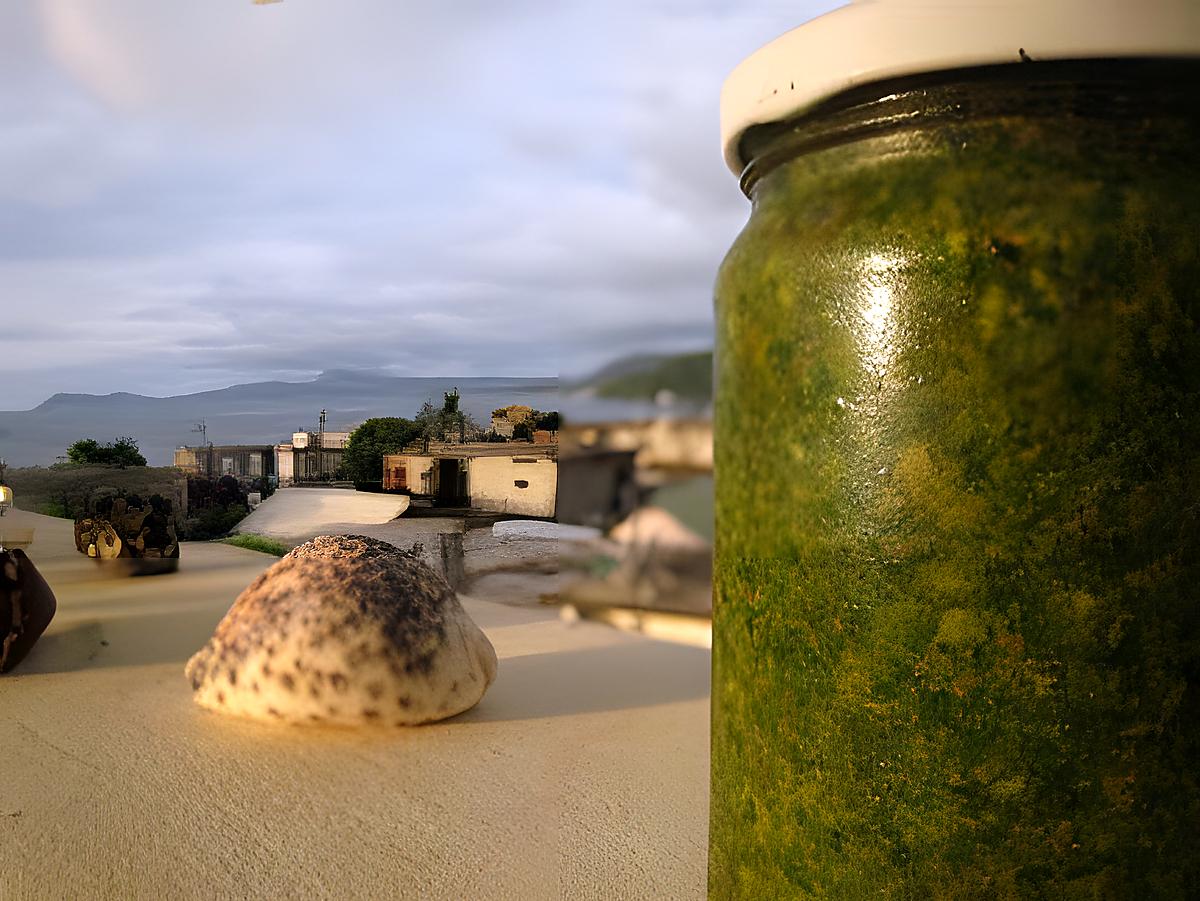 recette Pesto basilic-roquette du pauvre