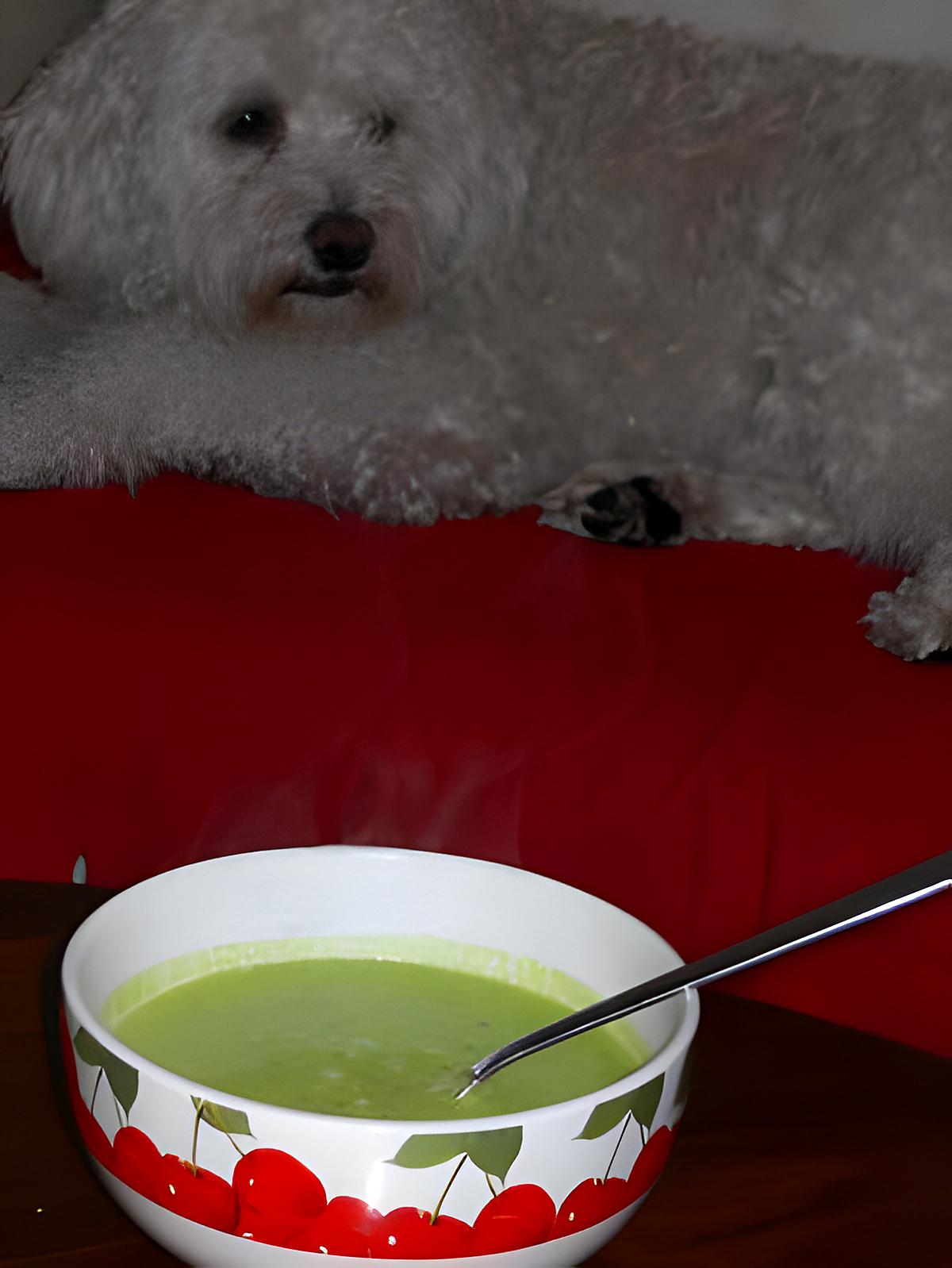 recette VELOUTE DE PETITS POIS A LA MENTHE