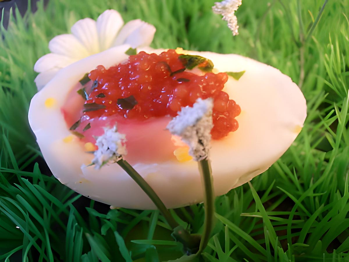 recette oeuf coquelicot