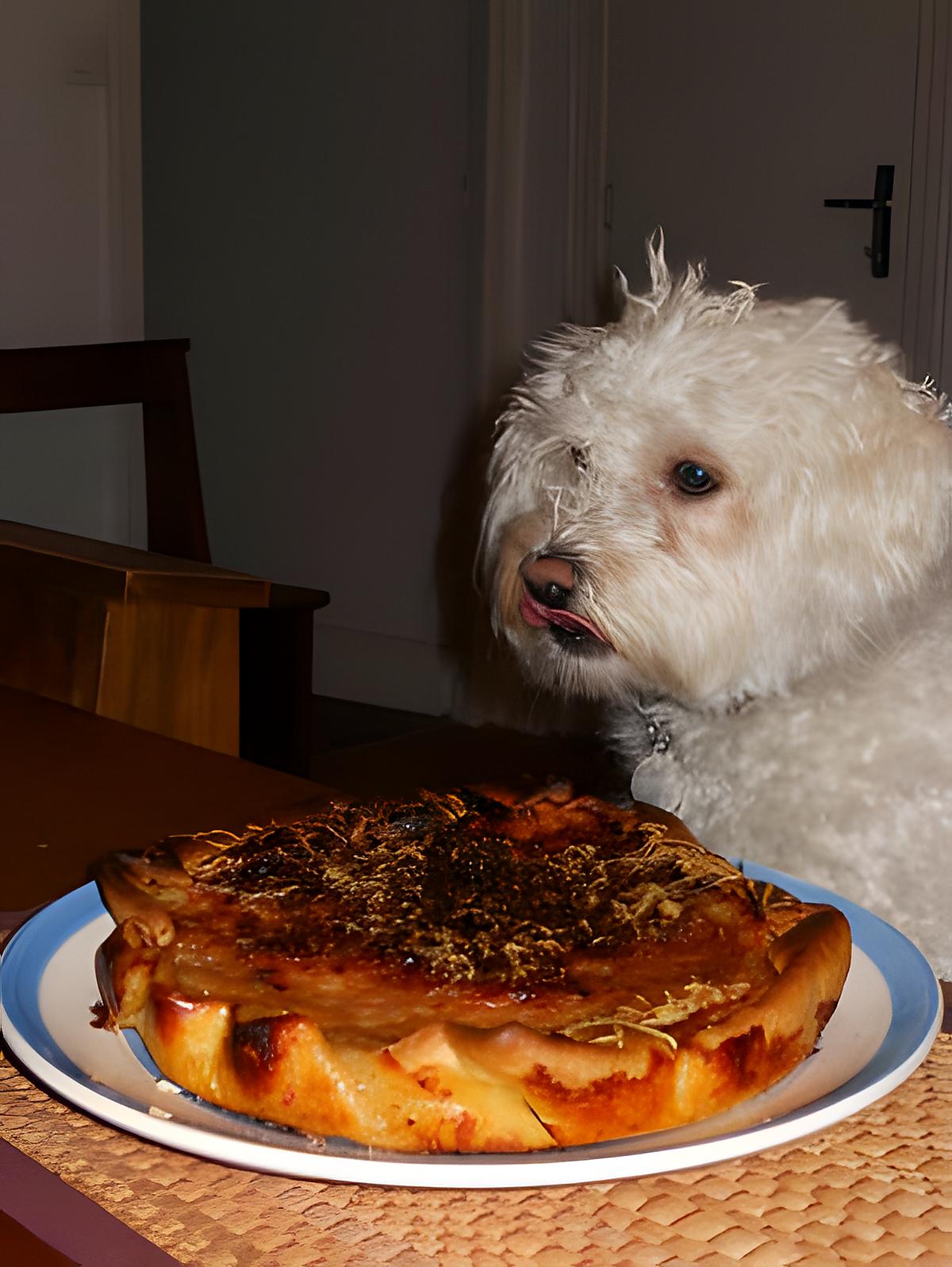 recette TARTE A LA VIANDE