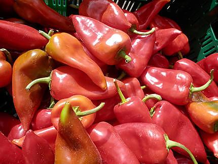 recette " Tapa de Patatas ...Anchoas...Pimientos del Piquillo.... con Aïoli....."