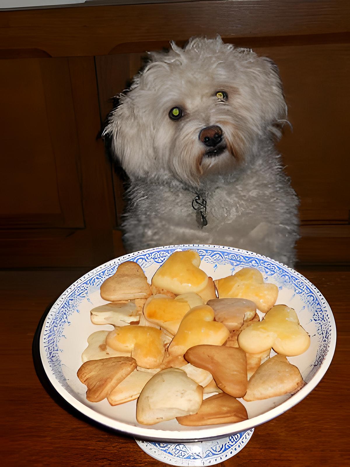 recette BISCUITS DE FIN D’ANNÉE