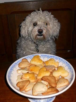 recette BISCUITS DE FIN D’ANNÉE