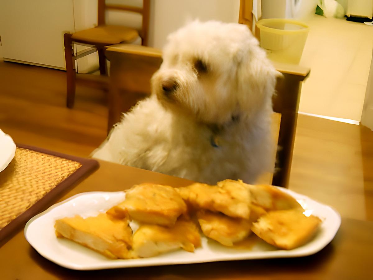 recette ESCALOPES DE POULET PANES