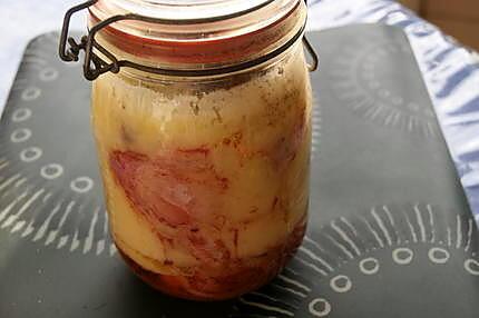 recette Confit d'oie (comment faire du) et ses variantes : canard,lapin, poule, dinde, porc.