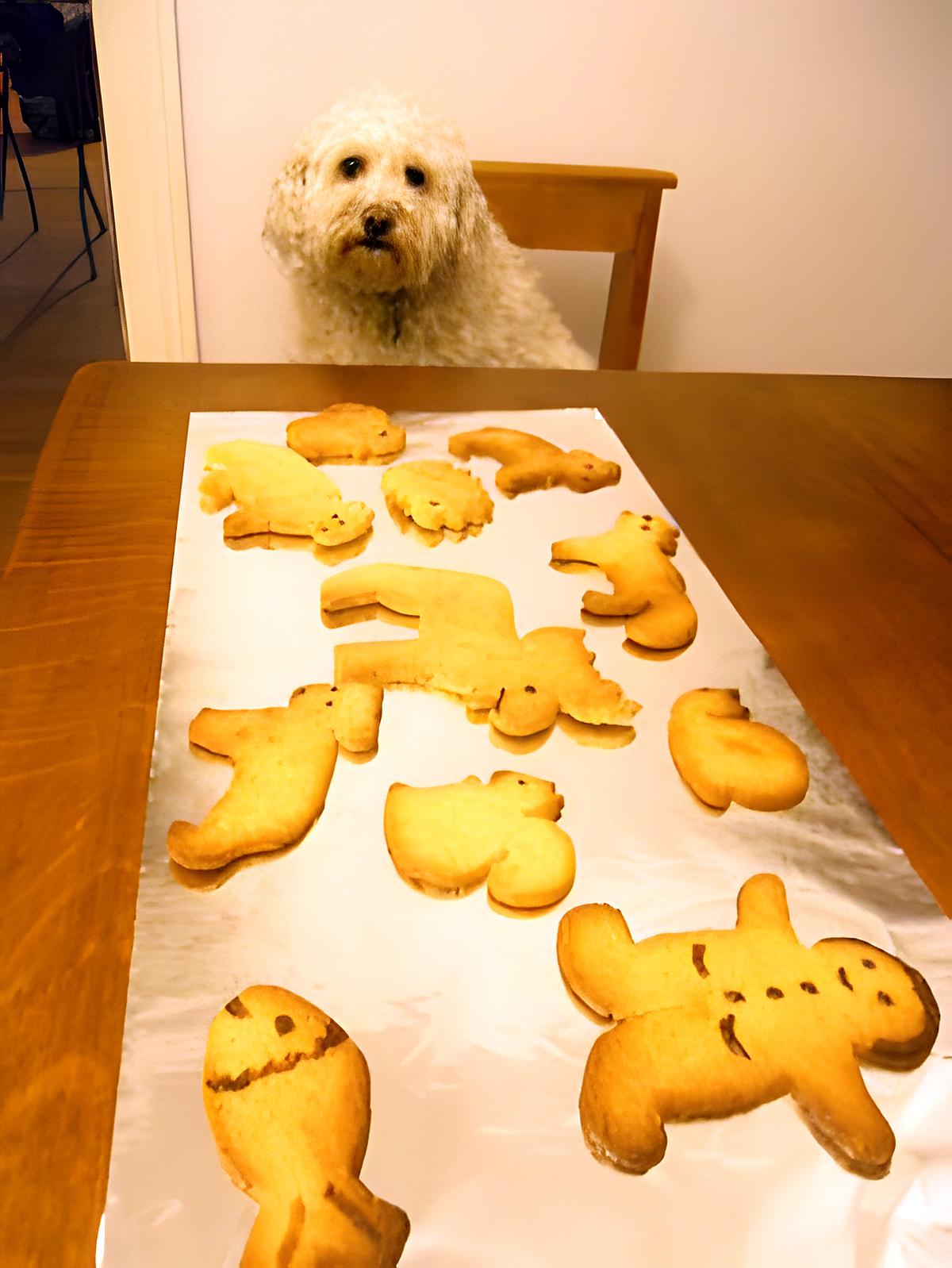 recette SABLES AUX NOIX