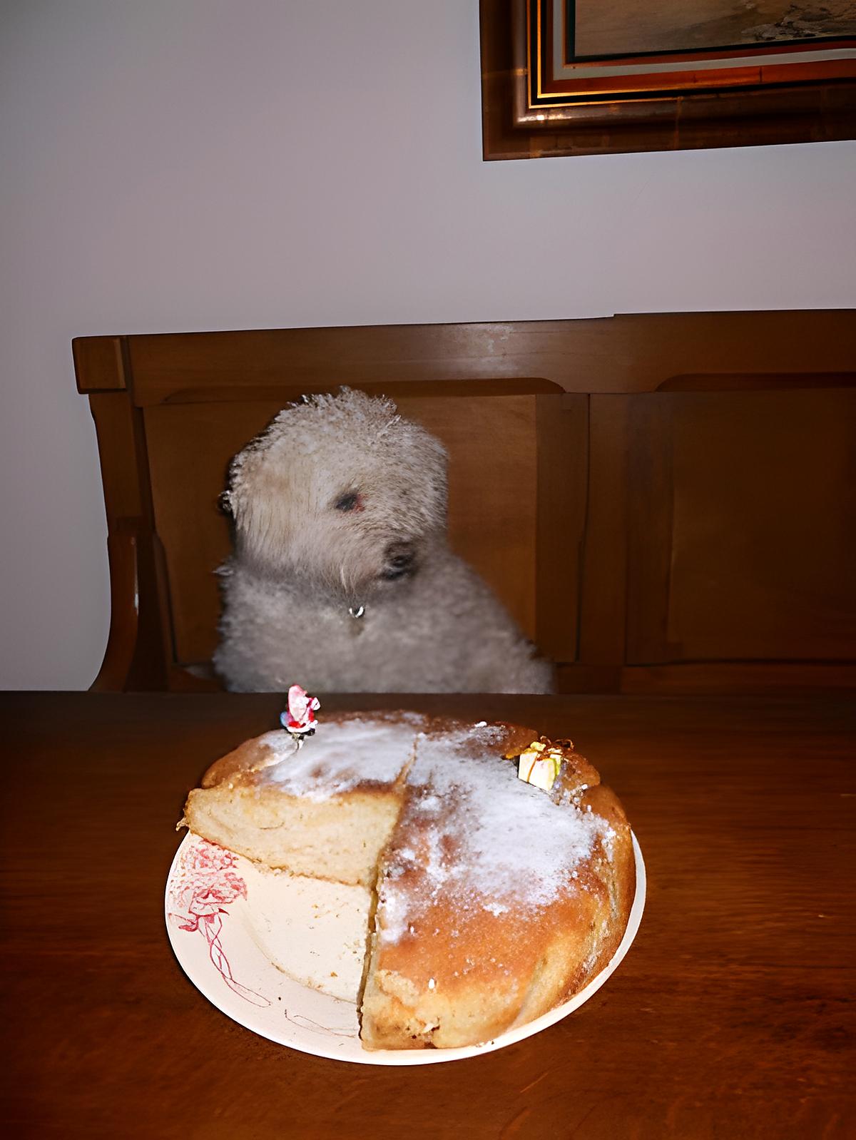 recette GÂTEAU AU CITRON "anglais"