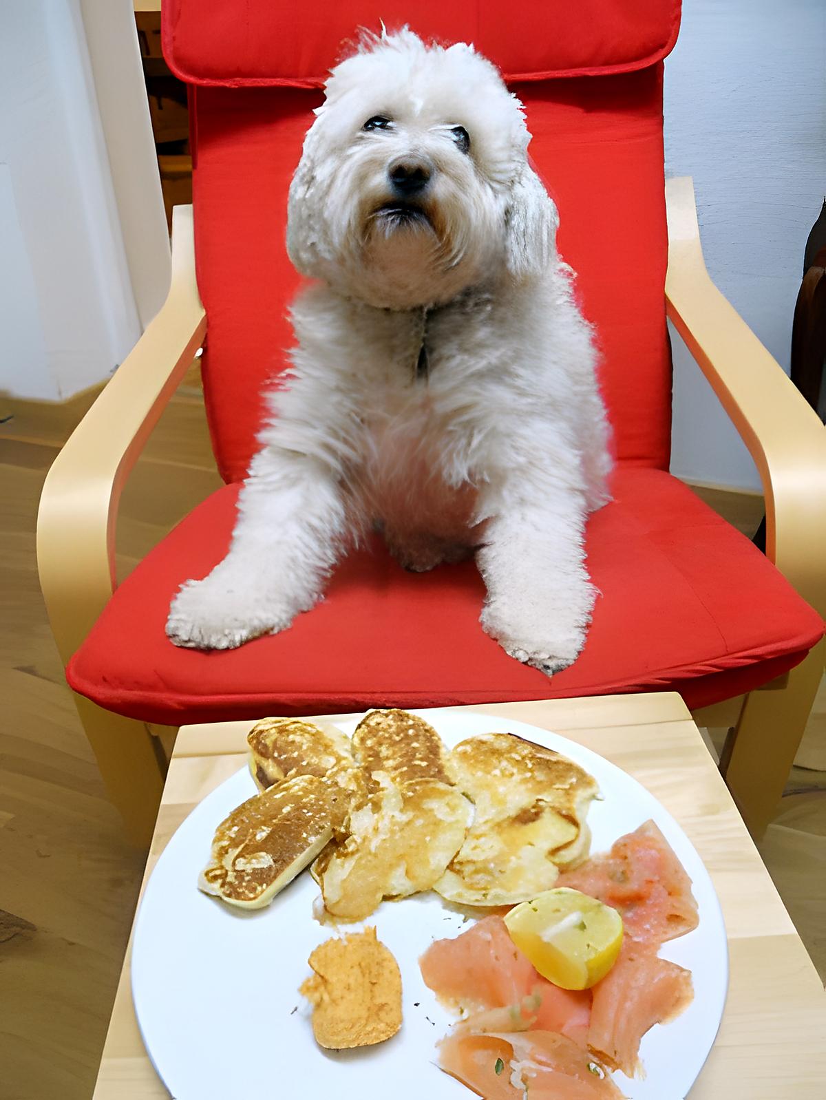 recette BLINIS EXPRESS