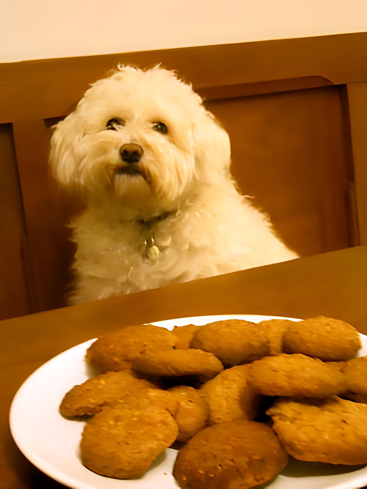 recette COOKIES  CHOCOLAT - NOIX