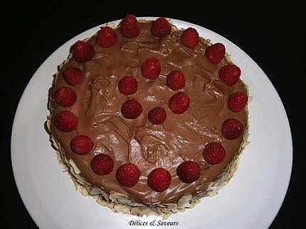 recette Gâteau chocolat/framboises