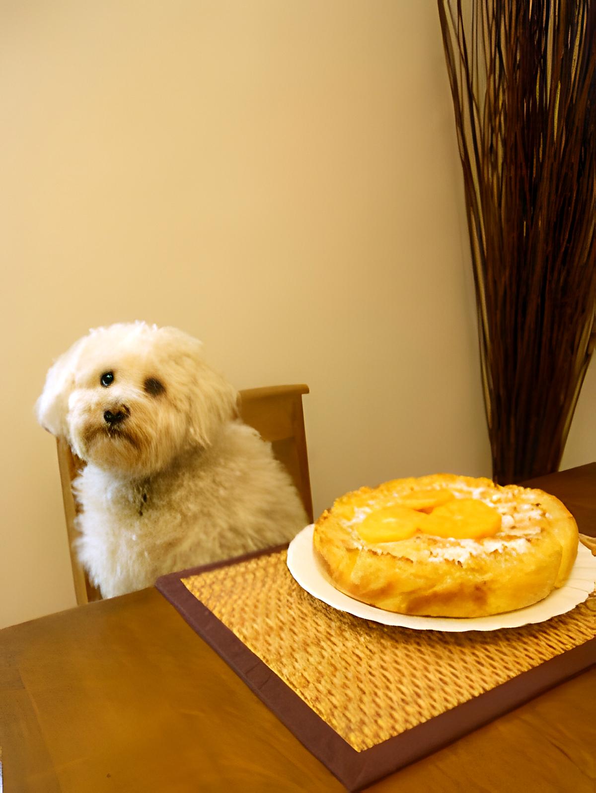 recette GÂTEAU AUX KAKIS