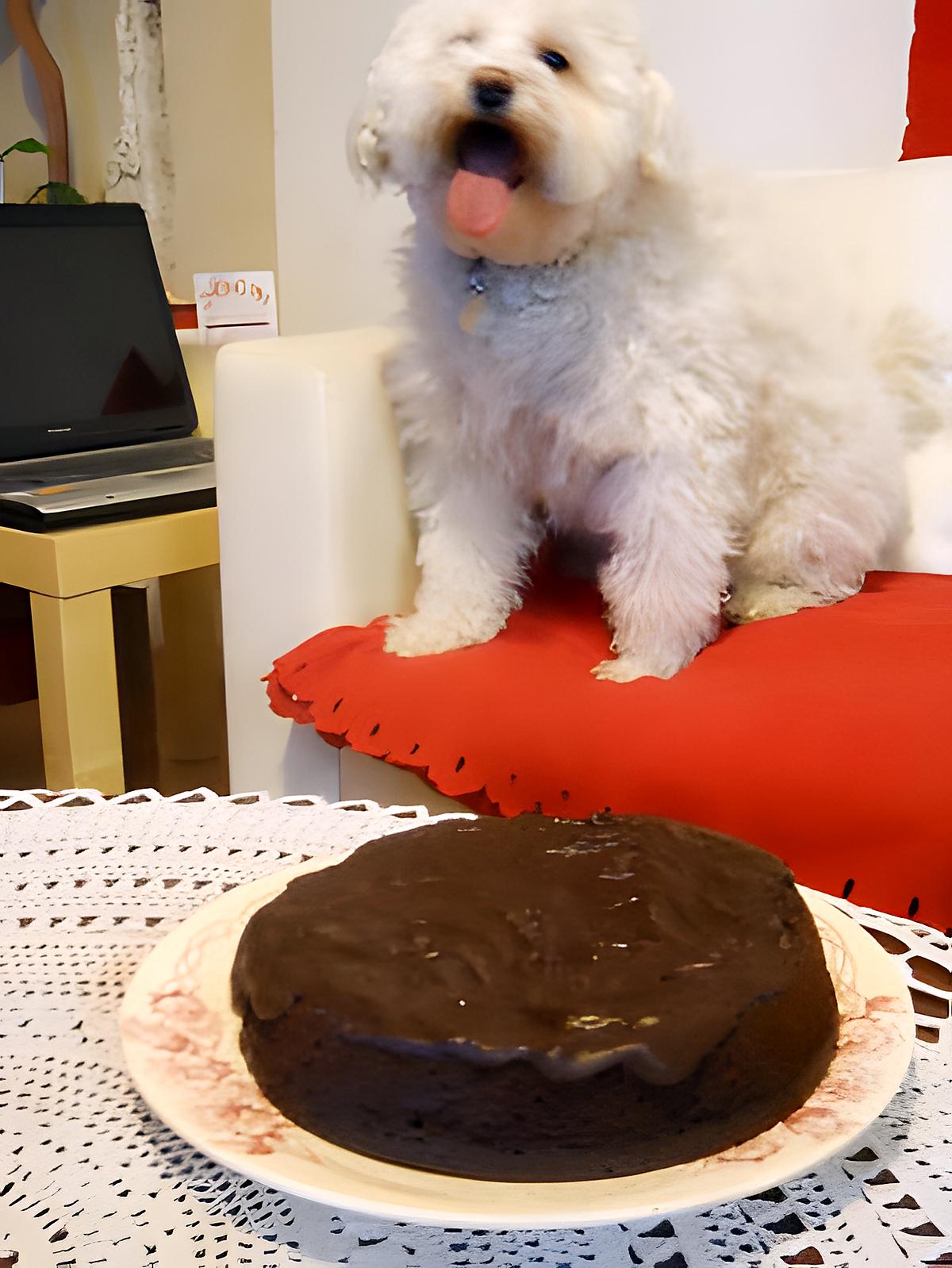 recette GÂTEAU AU CHOCOLAT AU LAIT