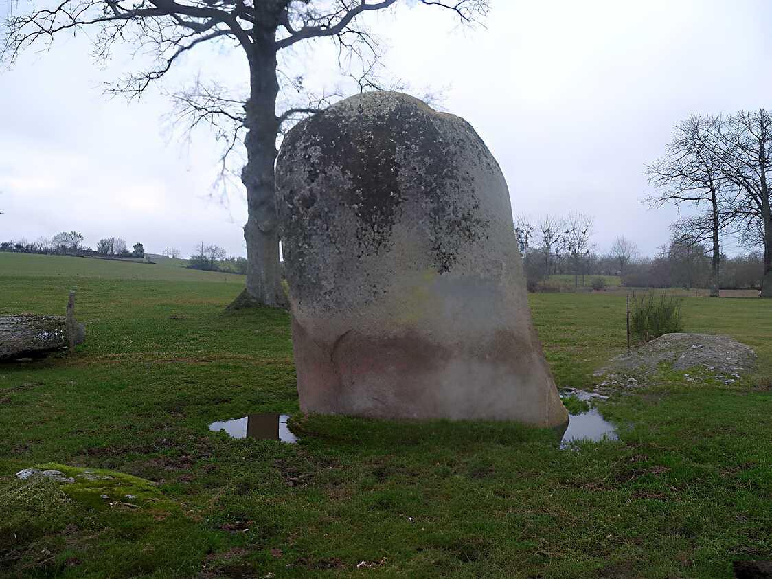 Recette de Veau au cidre