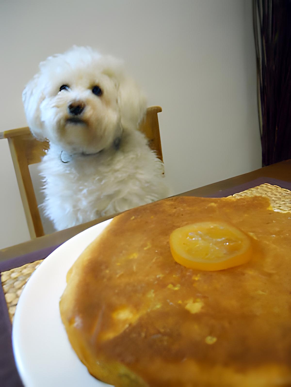 recette GÂTEAU A L'ORANGE COMME A SAINT PAUL DE VENCE