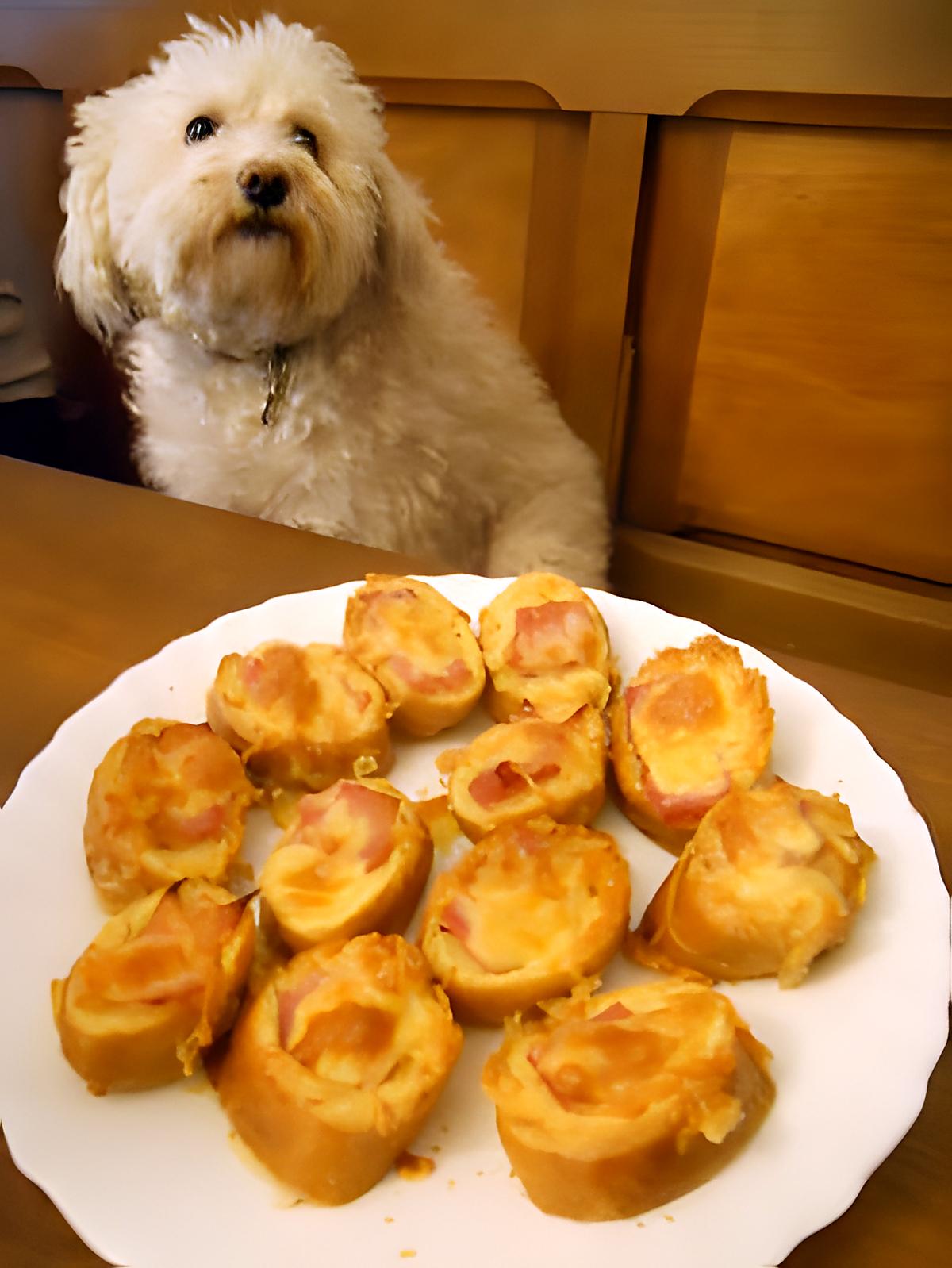 recette Petite entrée "vite faite"