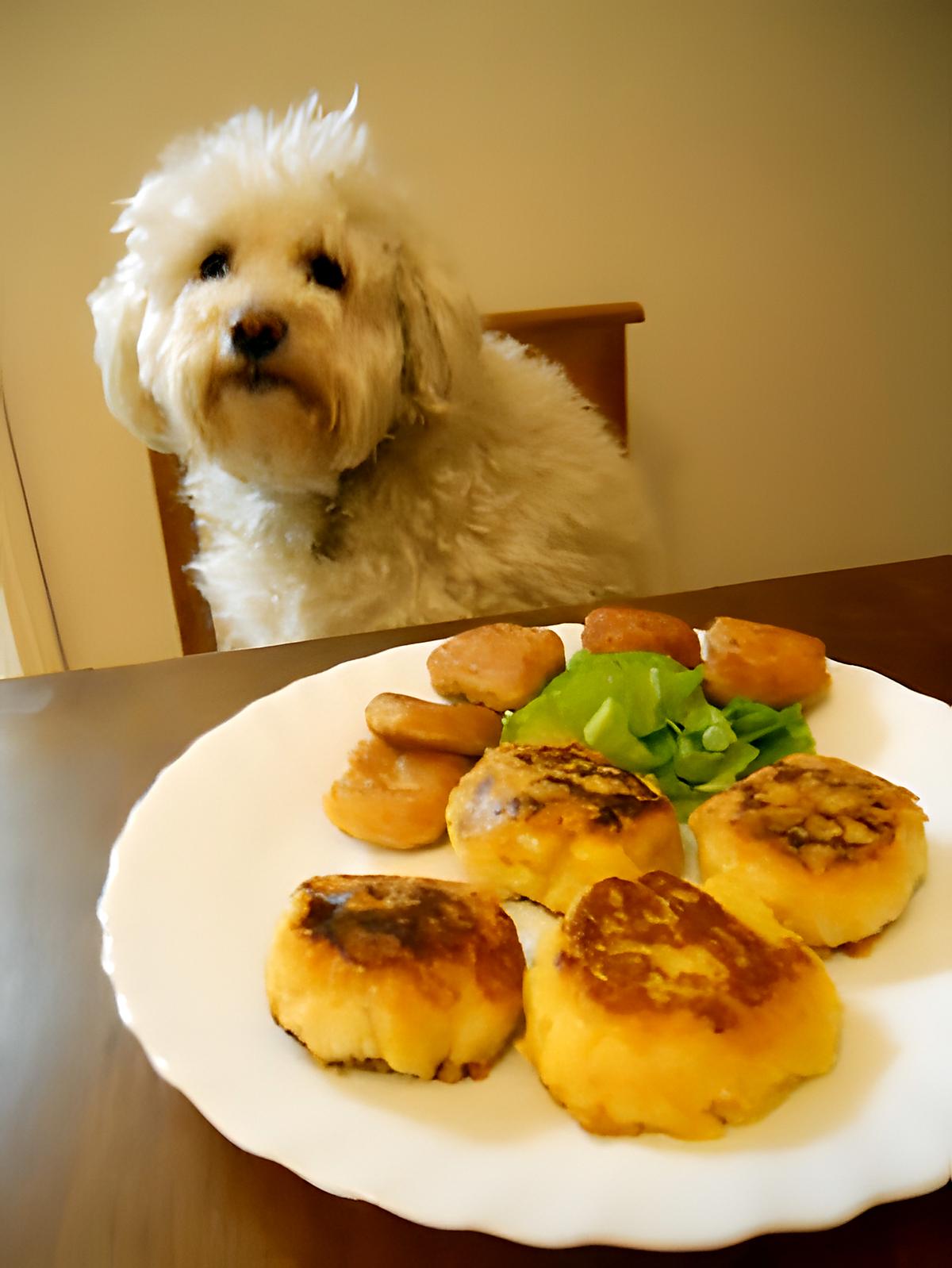 recette GALETTES DE LEGUMES