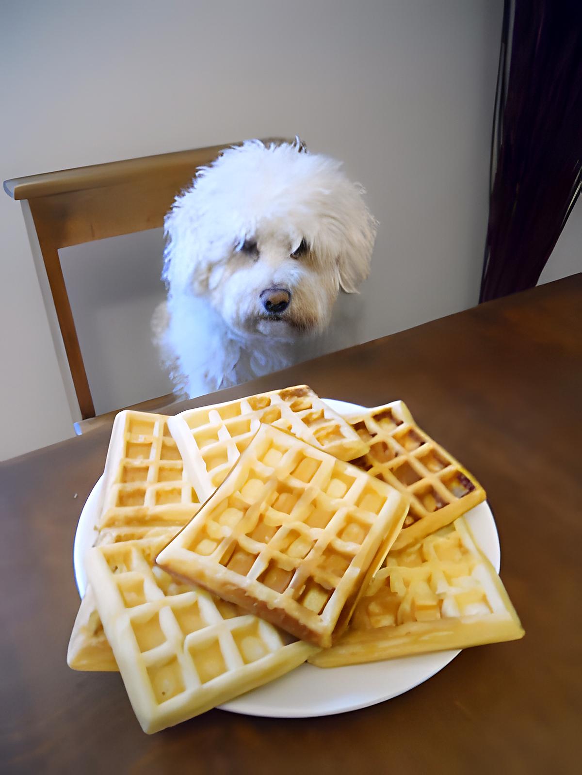 recette GAUFFRES pour le goûter !