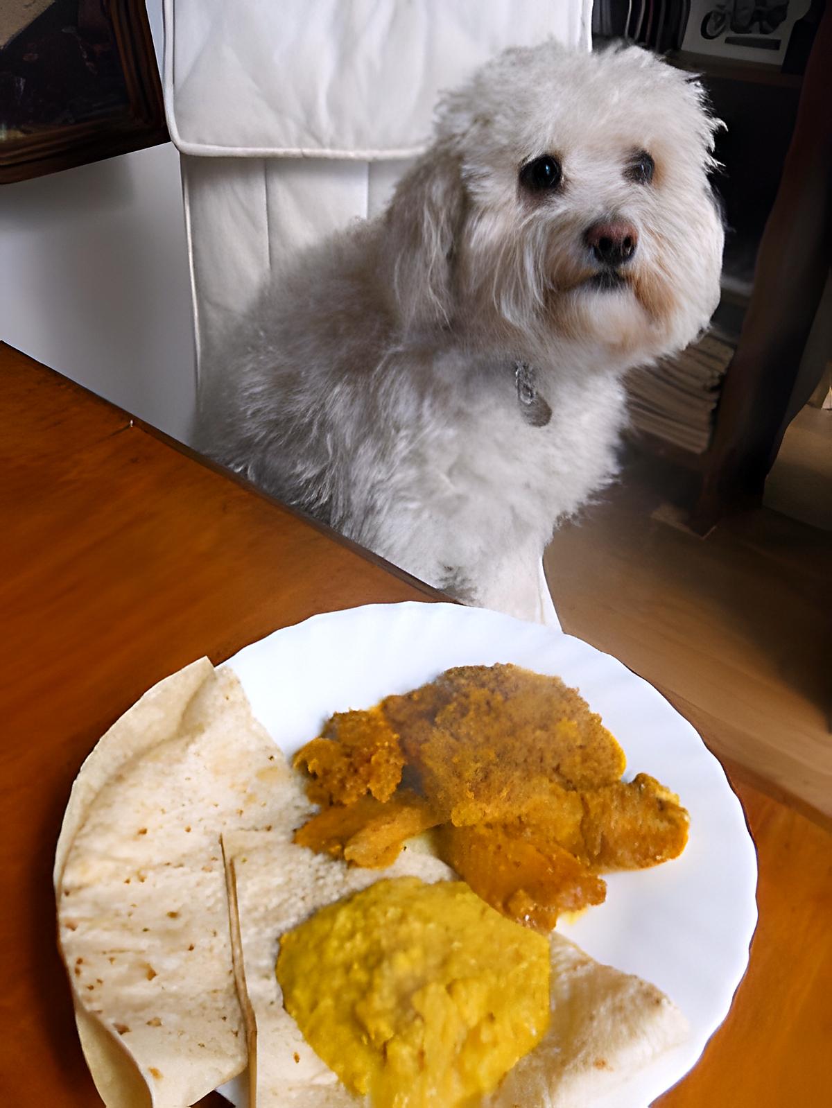 recette CURRY DE POULET AUX POMMES ET COCO ACCOMPAGNE DE DAHL