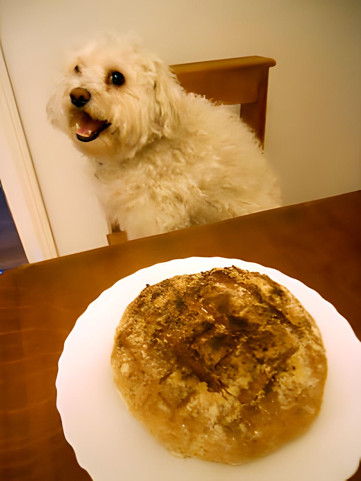 recette BOULE DE PAIN AUX CEREALES