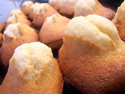 recette madeleines toutes belles ...