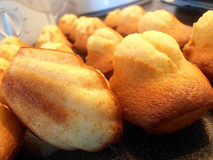 recette madeleines toutes belles ...