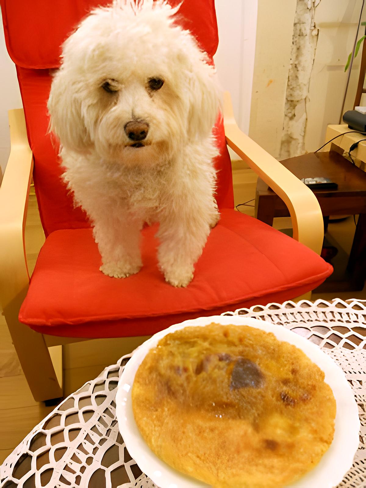 recette TARTE A CHUC  (la vraie tarte au sucre du Nord)