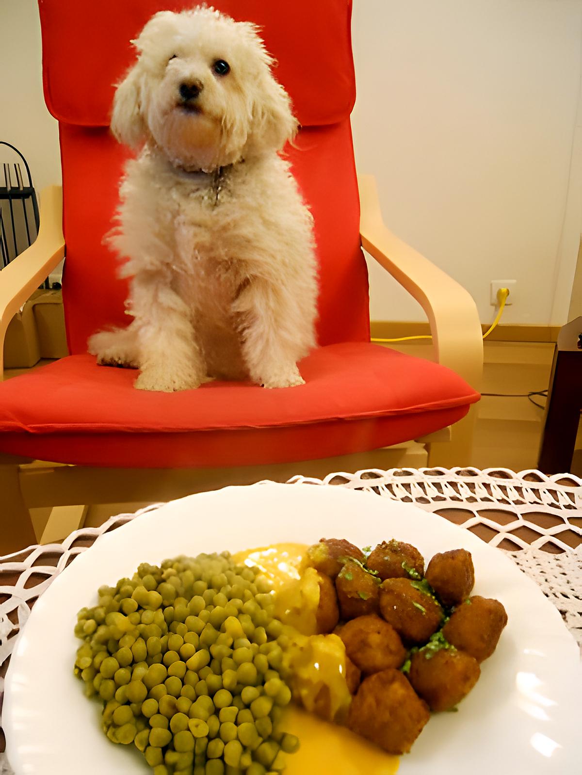 recette BOULETTES DE VIANDE A LA GRECQUE SAUCE CITRON