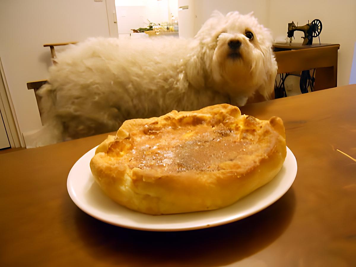 recette TARTE AU FROMAGE BLANC (salé)