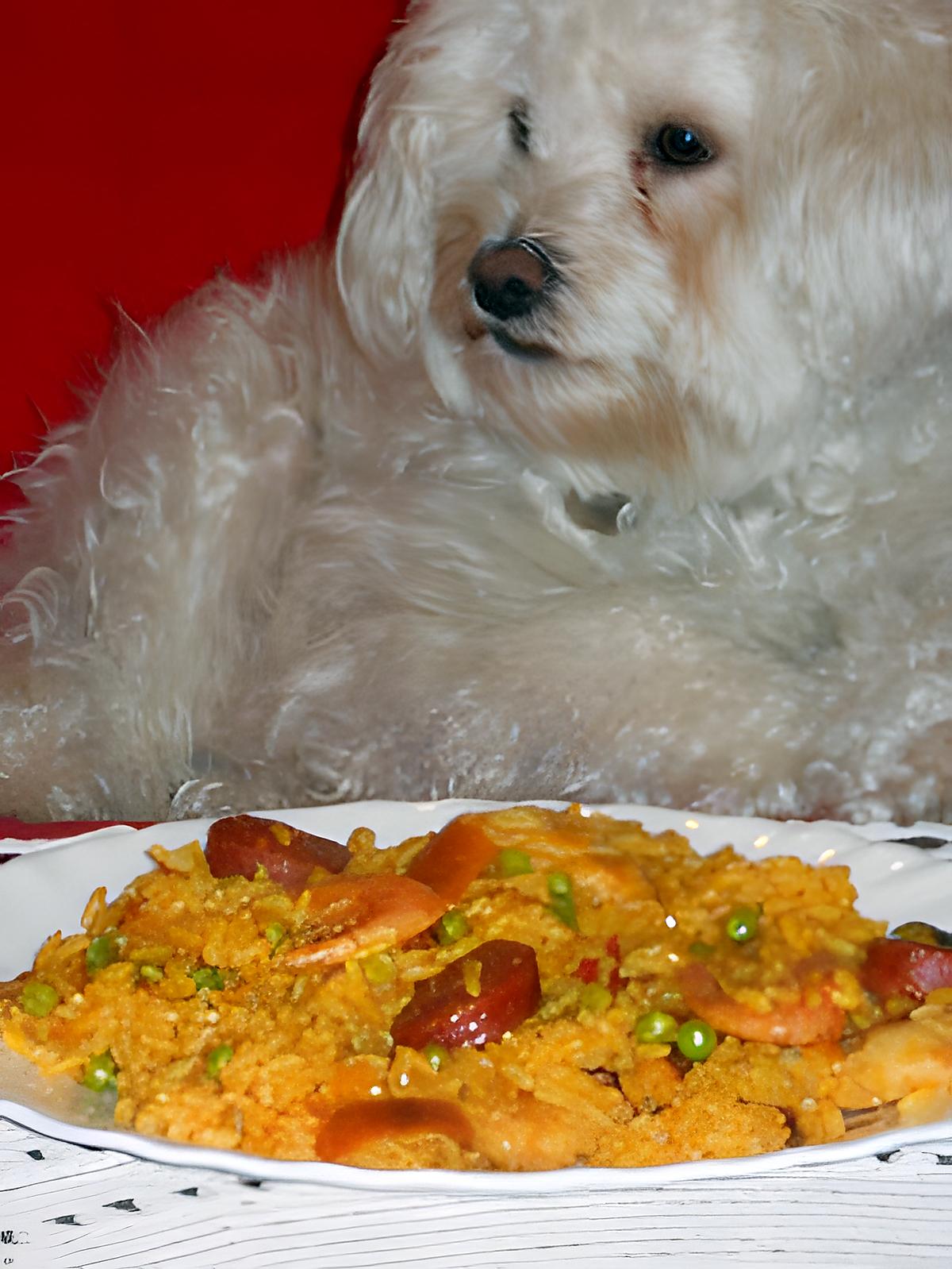 recette PAELLA  "RAPIDE"