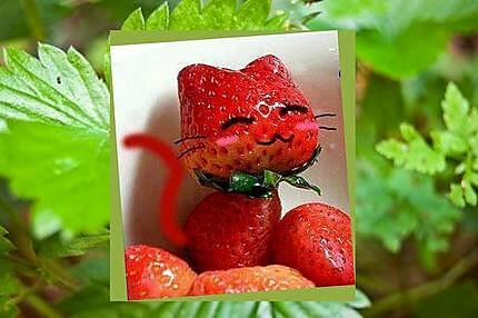 recette Confiture de fraises