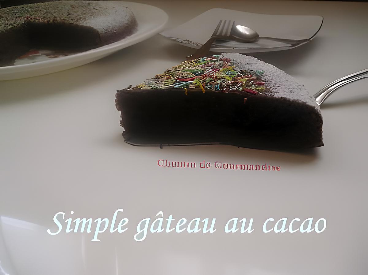 recette Gâteau aux yaourt saveur cacao