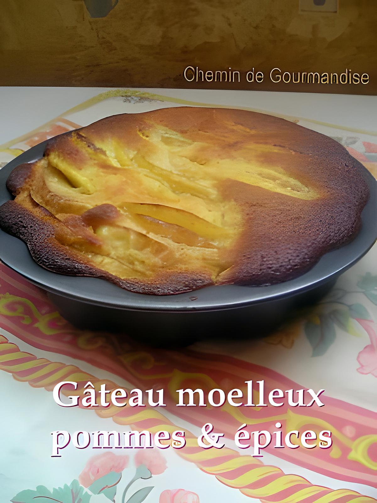 recette Gâteau moelleux aux pommes & épices