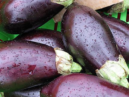 recette " Berengenas rebozadas...."( Aubergines...)... vite fait....