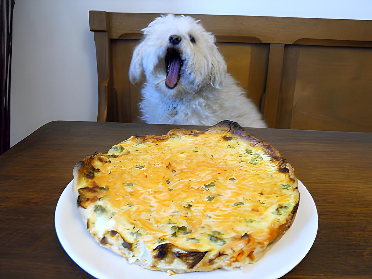 recette LA TARTE AUX CAROTTES RÂPÉES DE MON AMI ANDRE