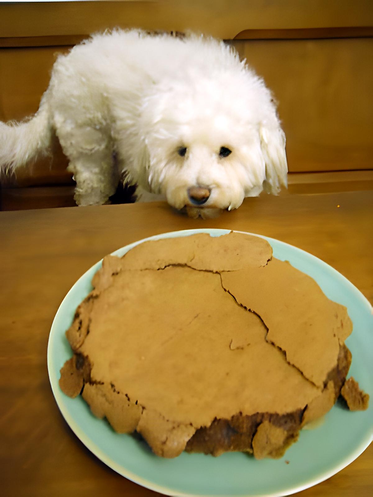 recette FONDANT AU CHOCOLAT DE ROSY