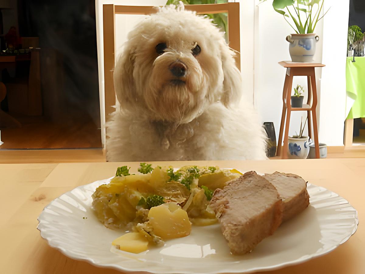 recette RÔTI DE PORC ET GRATIN DE COURGETTES