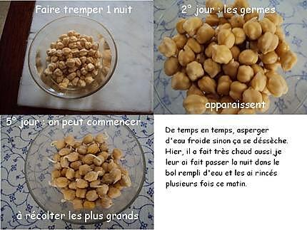 recette Faire germer les pois chiches et petite salade de tomates